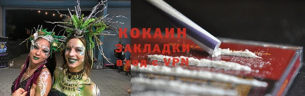 твердый Шали
