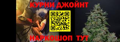 spice Кингисепп