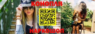 spice Кингисепп