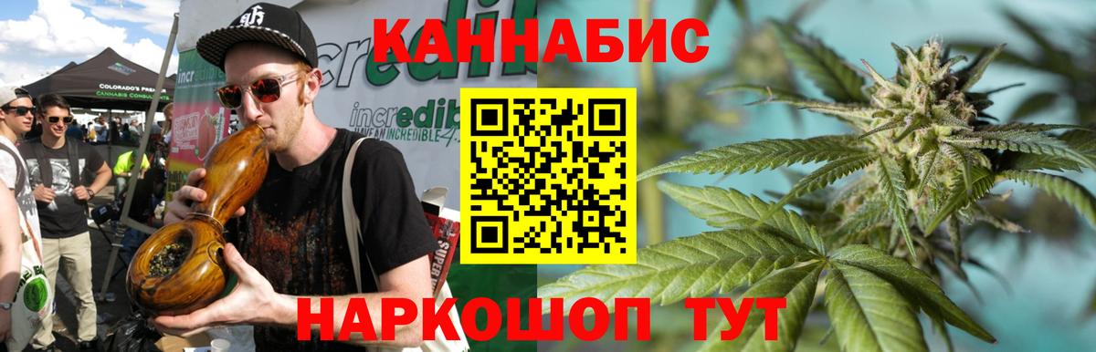 Конопля White Widow  Каннабис индика  Сунжа  Конопля конопля 